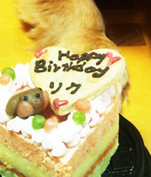 ボーンクッキーにお誕生日や記念日用などのメッセージ、愛犬名をお入れできます。ご希望のメッセージ・愛犬名はご注文時の備考欄にご入力くださいませ。［例：Happy Birthday！ はなちゃん］