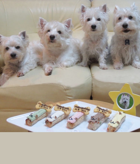 ボーンクッキーにお誕生日や記念日用などのメッセージ、愛犬名をお入れできます。ご希望のメッセージ・愛犬名はご注文時の備考欄にご入力くださいませ。［例：Happy Birthday！ はなちゃん］