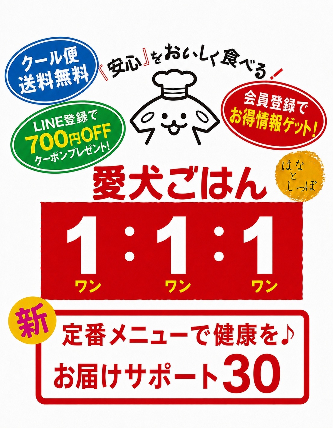 はじめての手作りごはん 「 新お試しパック 3袋セット (愛犬ごはん１：１：１） 」 【初回限定・お一人様1回のみ】 犬 猫 手作り ごはん 国産 無添加 すべて人間用食材 市場 産地 漁港 新鮮仕入れ