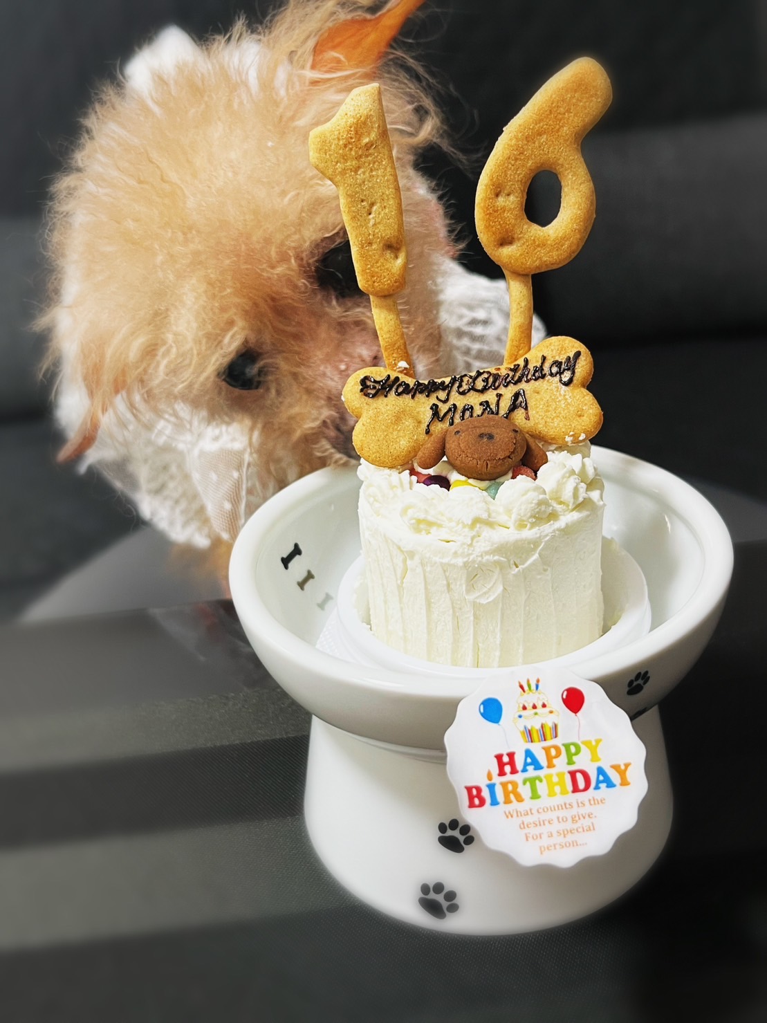 犬 猫 誕生日 ケーキ 人気 「 ハッピープチミート 」 無添加 小さい サイズ 犬用ケーキ 猫用ケーキ ドッグフードグルテンフリー 一番 ラクトースフリー 乳糖フリー 桜姫 鶏ササミ肉 肉 フードケーキ おすすめ 食いつき  映える