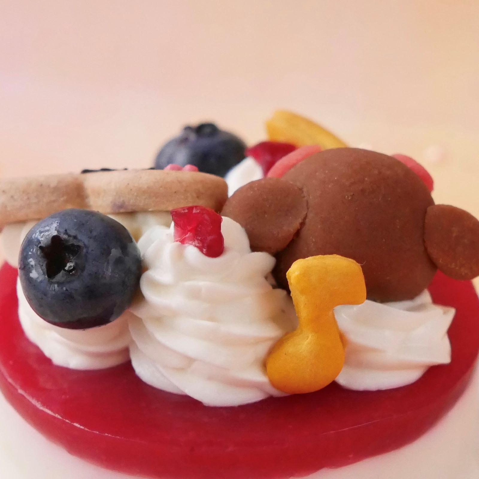犬用ケーキ 猫 無添加 「 ハッピーピュアチーズ プチ 」 塩不使用 レアチーズ ケーキ ドッグフードグルテンフリー 誕生日 シニア 犬 猫用ケーキ 安心 安全 ラクトースフリー 乳糖 フリー アレルギー おすすめ 人気