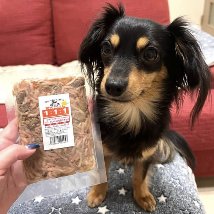 レバーともやしの特製やきそば　犬用ごはん　猫用ごはん　