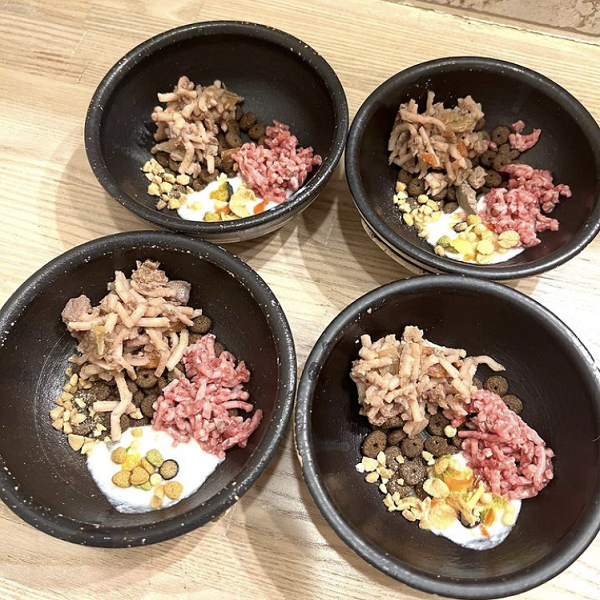 レバーともやしの特製やきそば　犬用ごはん　猫用ごはん　