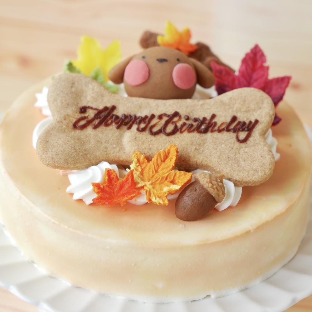 犬 猫用 お誕生日 ケーキ ちぃさい秋みぃ～つけた♪ 「 紅葉 いちご ショートケーキ レギュラーサイズ 」 犬 猫 シニア クリスマス ケーキ 安心・安全なラクトースフリー 乳糖 フリー アレルギー 人気 おすすめ ギフト 贈答 プレゼント お祝い