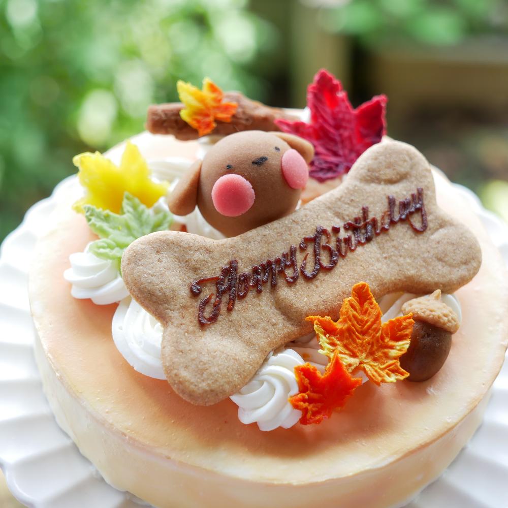 犬 猫用 お誕生日 ケーキ ちぃさい秋みぃ～つけた♪ 「 紅葉 いちご ショートケーキ レギュラーサイズ 」 犬 猫 シニア クリスマス ケーキ 安心・安全なラクトースフリー 乳糖 フリー アレルギー 人気 おすすめ ギフト 贈答 プレゼント お祝い