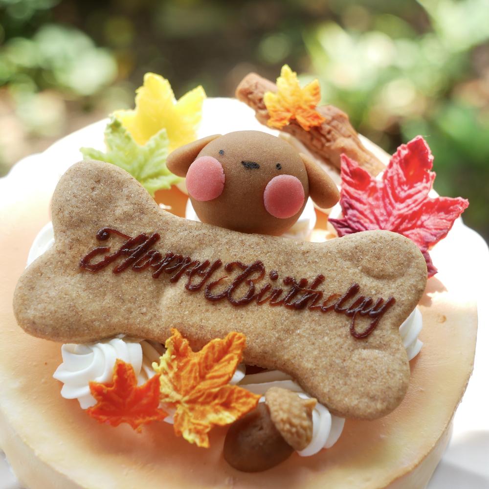 犬 猫用 お誕生日 ケーキ ちぃさい秋みぃ～つけた♪ 「 紅葉 いちご ショートケーキ レギュラーサイズ 」 犬 猫 シニア クリスマス ケーキ 安心・安全なラクトースフリー 乳糖 フリー アレルギー 人気 おすすめ ギフト 贈答 プレゼント お祝い