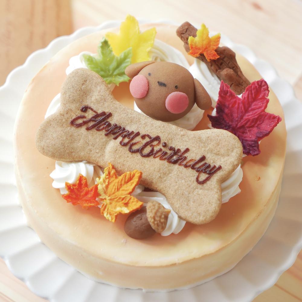犬 猫用 お誕生日 ケーキ ちぃさい秋みぃ～つけた♪ 「 紅葉 いちご ショートケーキ レギュラーサイズ 」 犬 猫 シニア クリスマス ケーキ 安心・安全なラクトースフリー 乳糖 フリー アレルギー 人気 おすすめ ギフト 贈答 プレゼント お祝い