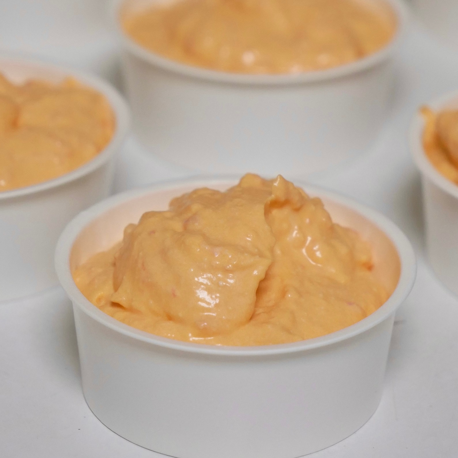 オーガニックヤギミルク☆あっためて♪ジェラート　【スイカ】◎夏季限定商品◎