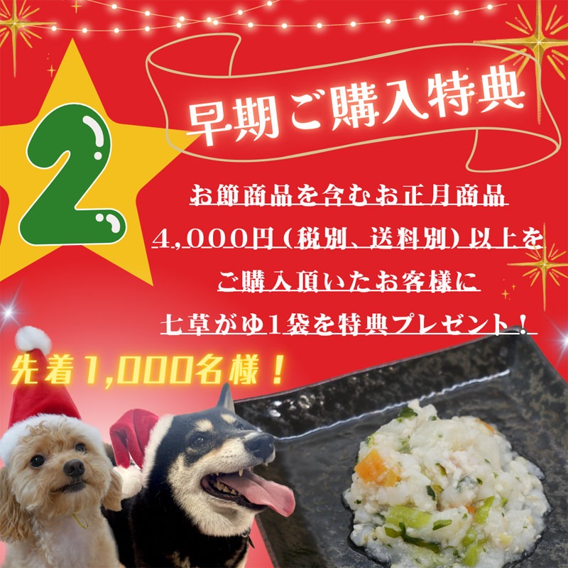 犬用 猫用 クリスマス ショート ケーキ 小型犬 【  おさぼりサンタ（プチ） 】 乳糖フリー・グルテンフリー・無添加・国産素材｜愛犬の健康に配慮した安心安全なクリスマス限定ケーキ｜小型犬が食べやすいサイズとカロリー設計｜苺・さつまいも・乳糖フリーヨーグルトクリーム使用｜犬用お祝いケーキ｜はなとしっぽオリジナル