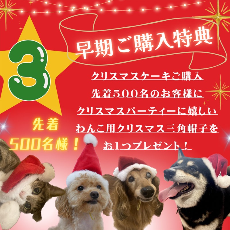 犬用 猫用 クリスマス ショート ケーキ 小型犬 【  おさぼりサンタ（プチ） 】 乳糖フリー・グルテンフリー・無添加・国産素材｜愛犬の健康に配慮した安心安全なクリスマス限定ケーキ｜小型犬が食べやすいサイズとカロリー設計｜苺・さつまいも・乳糖フリーヨーグルトクリーム使用｜犬用お祝いケーキ｜はなとしっぽオリジナル