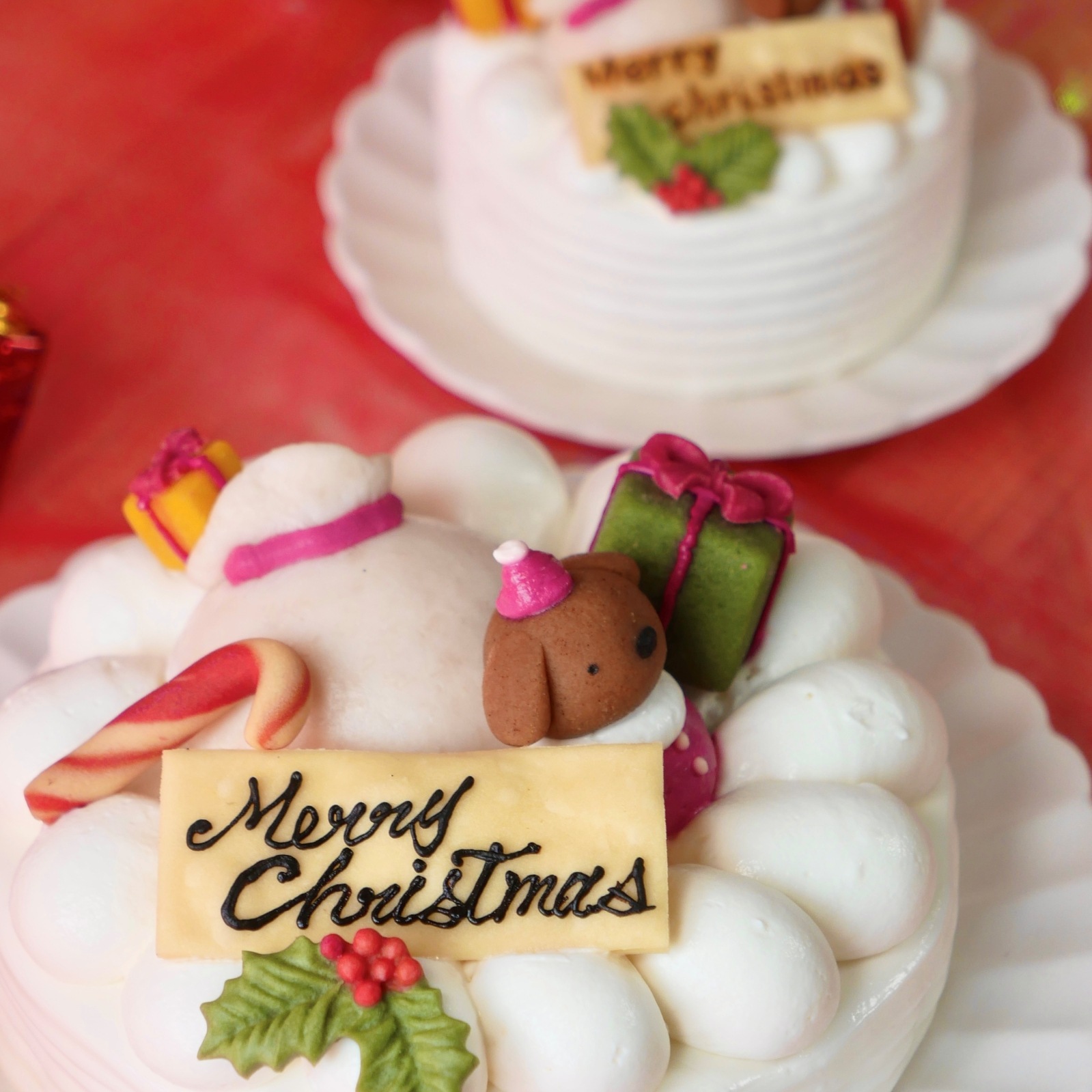 犬用 猫用 クリスマス ショート ケーキ 【  おさぼりサンタ（レギュラー） 】 乳糖フリー・グルテンフリー・無添加・国産素材｜愛犬の健康に配慮した安心安全なクリスマス限定ケーキ｜小型犬が食べやすいサイズとカロリー設計｜苺・さつまいも・乳糖フリーヨーグルトクリーム使用｜犬用お祝いケーキ｜はなとしっぽオリジナル