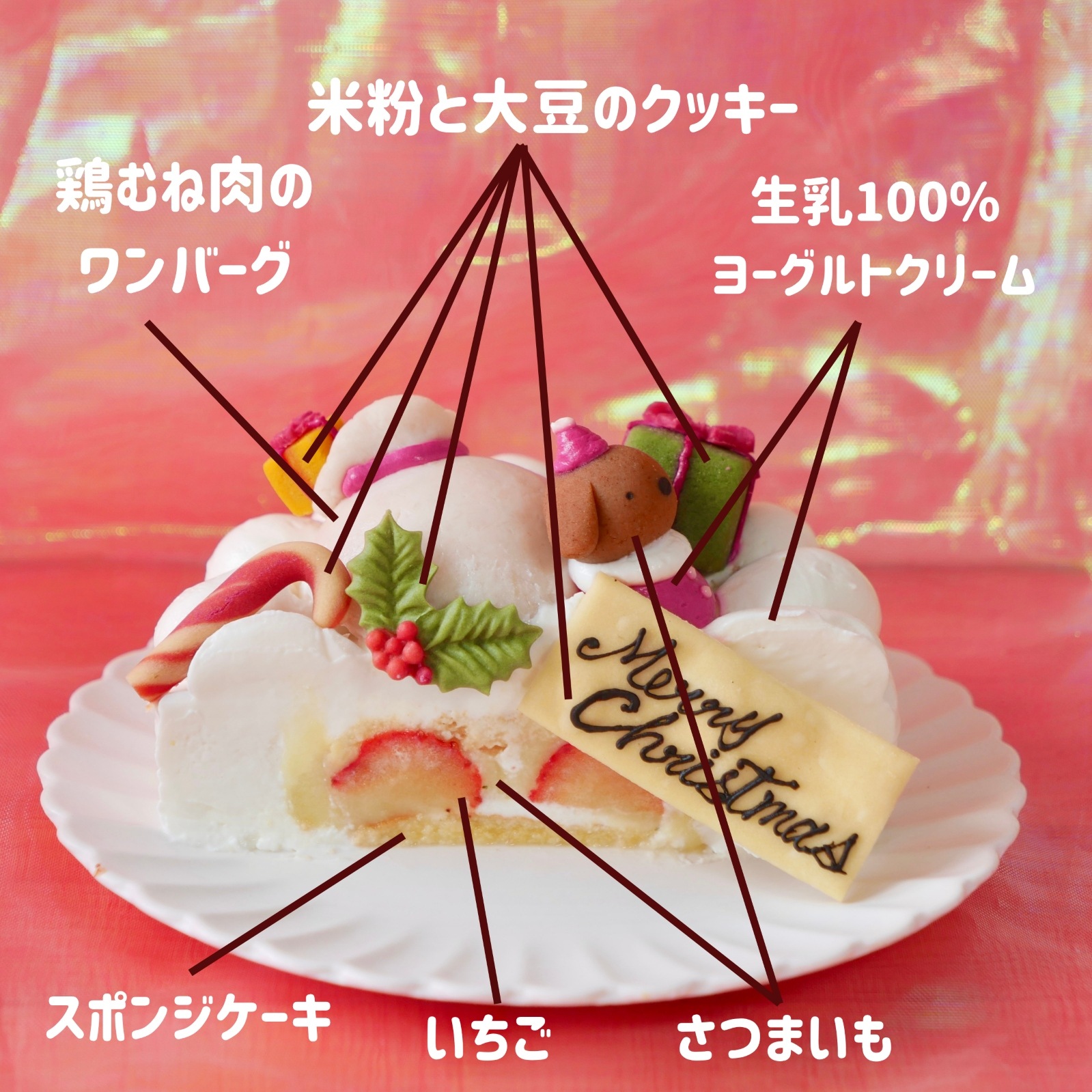 犬用 猫用 クリスマス ショート ケーキ 【  おさぼりサンタ（レギュラー） 】 乳糖フリー・グルテンフリー・無添加・国産素材｜愛犬の健康に配慮した安心安全なクリスマス限定ケーキ｜小型犬が食べやすいサイズとカロリー設計｜苺・さつまいも・乳糖フリーヨーグルトクリーム使用｜犬用お祝いケーキ｜はなとしっぽオリジナル