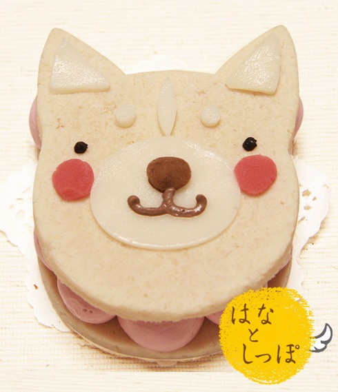 「ワンバーグ発酵ケーキ スムースコート チワワ みたいなタイプ」 犬 似顔絵 ケーキ 無添加 犬用ケーキ ドッグフード 乳糖フリー ラクトースフリー グルテンフリー お祝い 記念日 ごはん フードケーキ ギフト プレゼント 贈答 人気 おすすめ インスタ 映え 乳糖不耐症