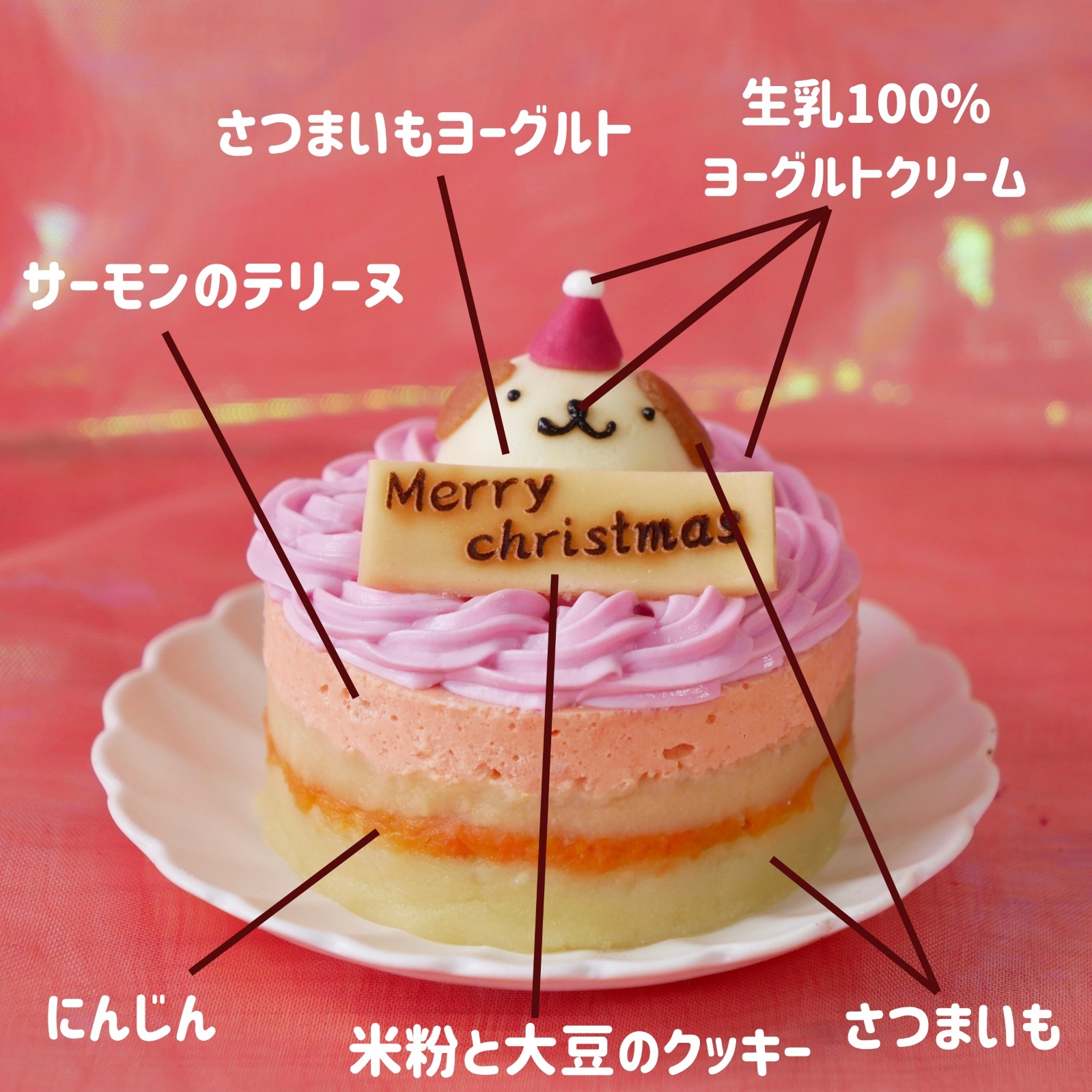 【犬猫用 お魚のクリスマスケーキ プチ 】乳糖フリー・グルテンフリー・無添加|鮭を使った犬猫兼用ヘルシーケーキ|国産素材で安心安全|ニュージーランド産サーモン×乳糖フリーヨーグルトで仕上げた華やかクリスマス限定ケーキ|小型サイズでわんちゃん・ねこちゃんにぴったり|はなとしっぽオリジナル