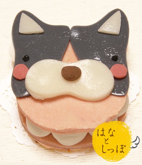 「ワンバーグ発酵ケーキ ボストンテリア みたいなタイプ」 犬 誕生日 ケーキ 似顔絵 犬用ケーキ 無添加 ドッグフード 乳糖フリー ラクトースフリー グルテンフリー お祝い 記念日 ごはん フードケーキ ギフト プレゼント 贈答 人気 おすすめ インスタ 映え 乳糖不耐症