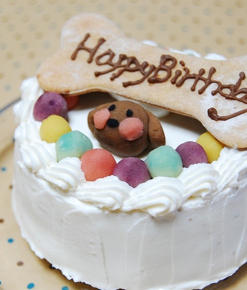 犬 猫 ケーキ 人気 「 ハッピーミート 」 犬用ケーキ ドッグフード 誕生日 お祝い 中 大型犬 肉のケーキグルテンフリー 鶏ササミ肉 桜姫 無添加 ドッグ フード ラクトースフリー 乳糖 フリー お祝い ギフト 贈答 人気 おすすめ プレゼント 食いつき 完食　　