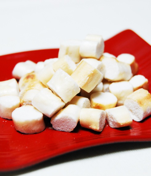 無添加 ダイエット 犬 猫用おやつ 「 フ・フ・フのふ～・大袋 プレーン 」 犬用おやつ ヘルシー ペットフード キャットフード しつけ 人気 おすすめ