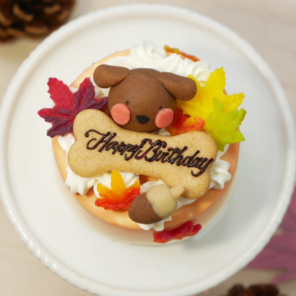 犬 猫 季節のケーキ 無添加 ケーキ ちぃさい秋みぃ~つけた♪ 「 紅葉 いちご ショートケーキ プチサイズ 」 乳糖フリーだから安心・安全 新鮮な生乳100% 人気 おすすめ 贈答 ギフト プレゼント