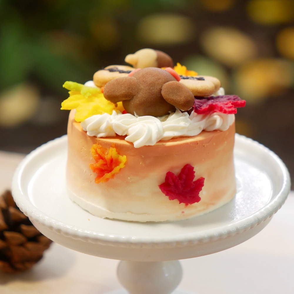 犬 猫 季節のケーキ 無添加 ケーキ ちぃさい秋みぃ~つけた♪ 「 紅葉 いちご ショートケーキ プチサイズ 」 乳糖フリーだから安心・安全 新鮮な生乳100% 人気 おすすめ 贈答 ギフト プレゼント