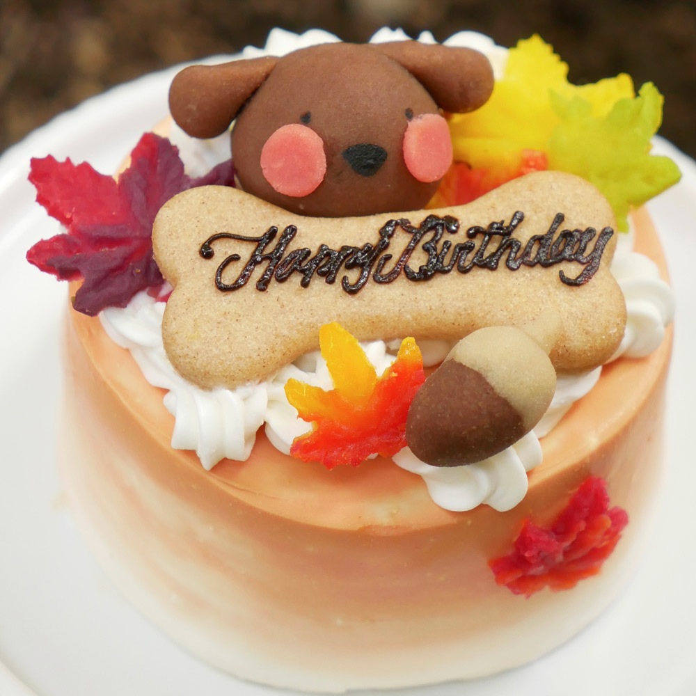 犬 猫 季節のケーキ 無添加 ケーキ ちぃさい秋みぃ~つけた♪ 「 紅葉 いちご ショートケーキ プチサイズ 」 乳糖フリーだから安心・安全 新鮮な生乳100% 人気 おすすめ 贈答 ギフト プレゼント