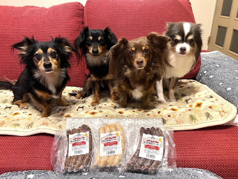 薬膳ソーセージ　馬肉+ゴボウ+かぼちゃ+青のり　犬用ごはん　猫用ごはん　