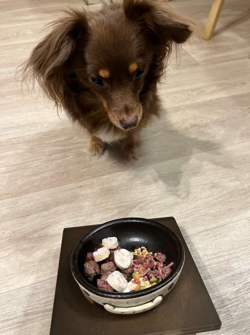 薬膳ソーセージ　馬肉+ゴボウ+かぼちゃ+青のり　犬用ごはん　猫用ごはん　