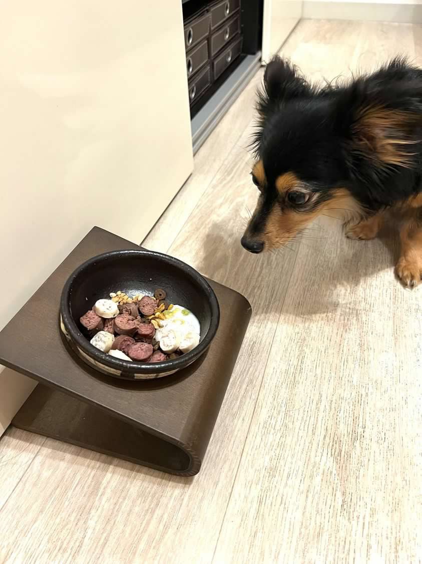 薬膳ソーセージ　馬肉+ゴボウ+かぼちゃ+青のり　犬用ごはん　猫用ごはん　