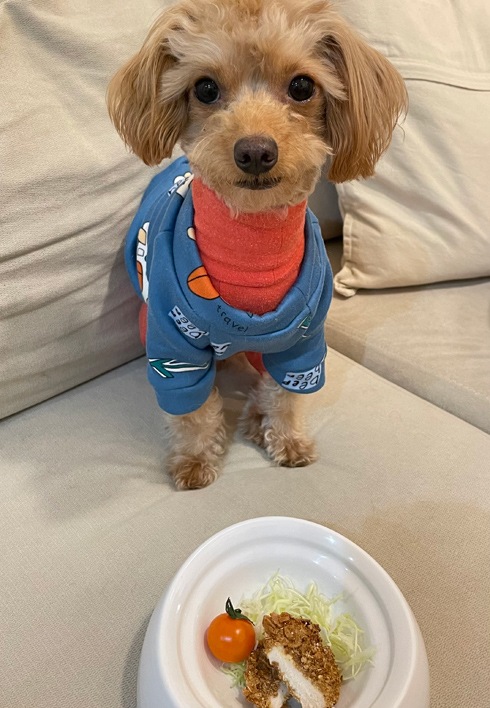 わんわんチキンカツ　ノンフライシリーズ　犬用おやつ