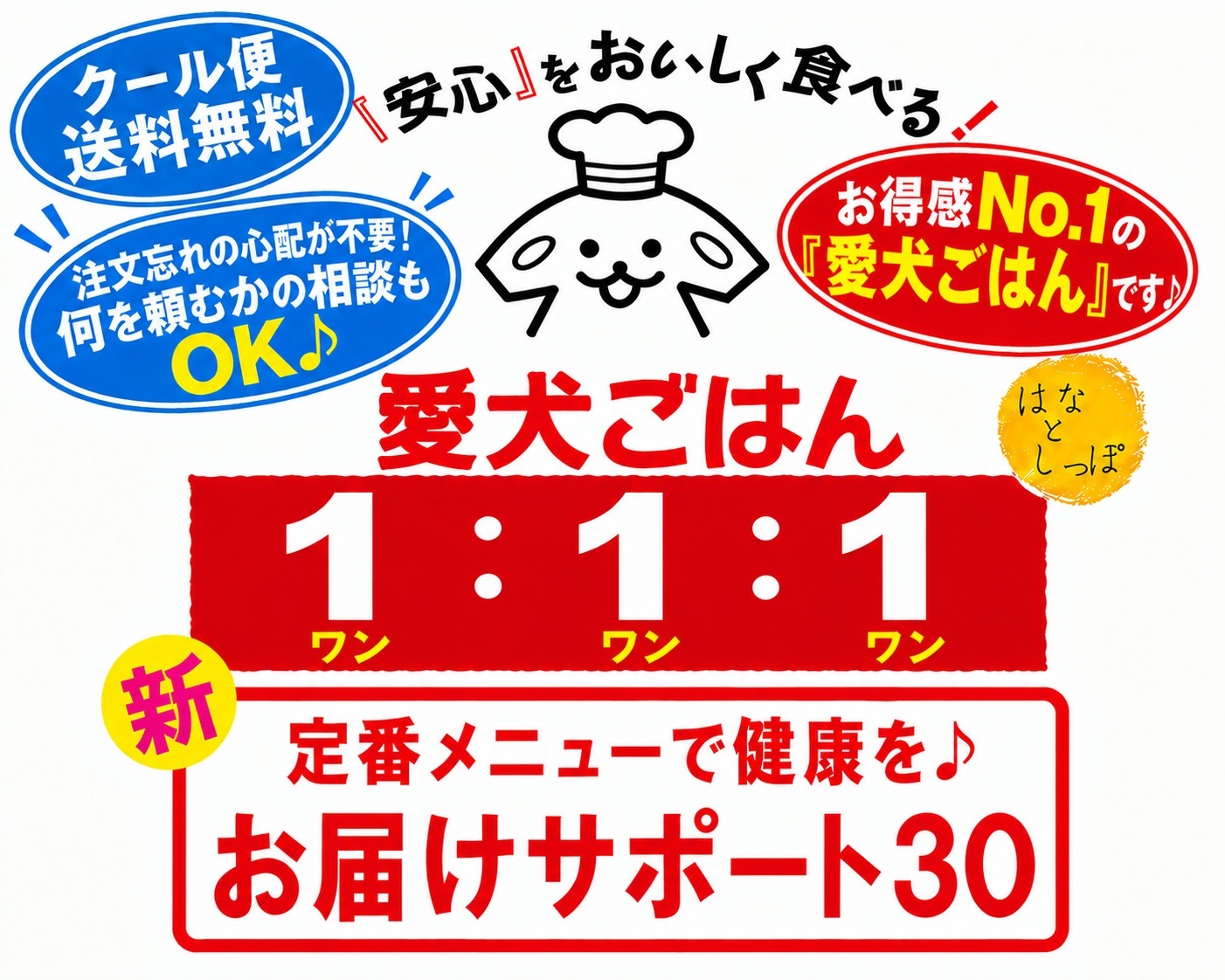 犬 猫 手作りごはん 「 愛犬ごはん1：1：1 お届けサポート30 」 国産 無添加 自然食材100％ 人用材料100％ 獣医師考案 犬用ごはん 健康 手づくりごはん ドックフード ペットフード キャットフード 定期  