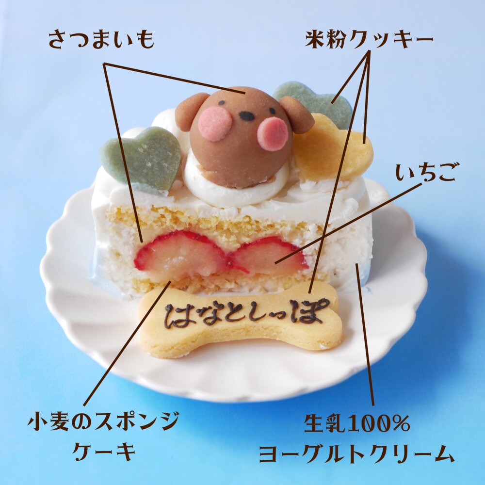 犬 ケーキ 猫 ホワイトデー【 ホワイトデーショート 】 無添加 犬用ケーキ 猫用ケーキ 乳糖 ラクトースフリー かわいい 映え 人気 おすすめ プレゼント ギフト 贈答
