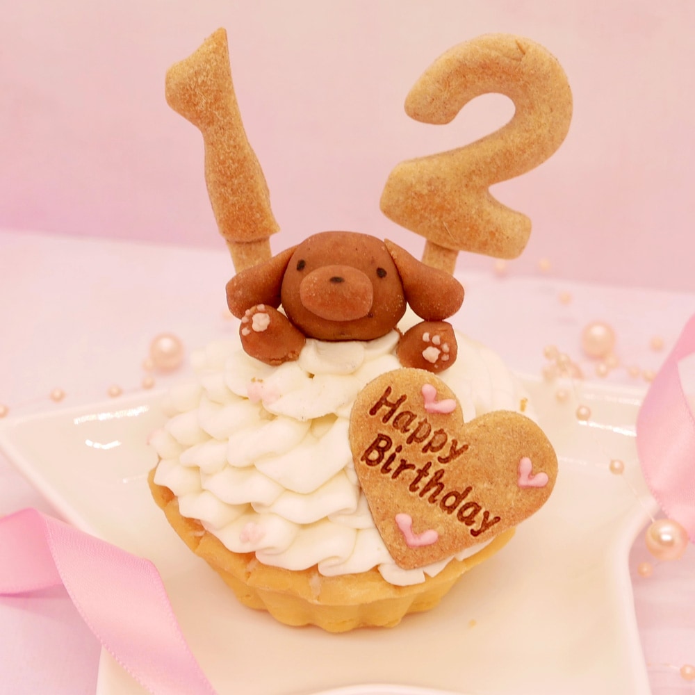 犬用ケーキ 無添加 誕生日 「 ハッピープリティーウーわん 」 犬 ケーキ　グルテンフリー ドッグフード 猫 安心 安全 シニア ラクトースフリー 乳糖 フリー 猫用ケーキ アレルギー アレルゲン 人気 おすすめ 映え 食いつき