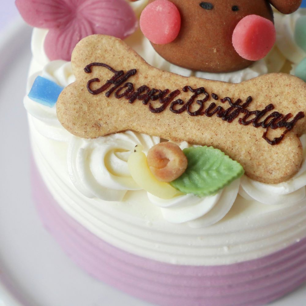 犬用ケーキ 猫 ケーキ 無添加 「 紫陽花苺ショートケーキ ( プチ )」 乳製品の心配のいらない 乳糖フリー 安心安全 犬 おやつ お誕生日ケーキ 猫用 (AS01)