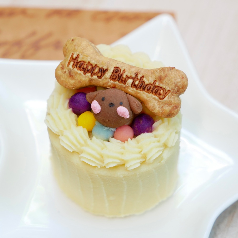 犬 猫 ケーキ 低脂質 豆乳 無添加 「 お肉たんぱくフリーケーキ 」 ドッグフード 誕生日 植物性 たんぱく 野菜 魚 いわし 乳頭 ラクトースフリー シニア お祝い 人気 かわいい おすすめ 