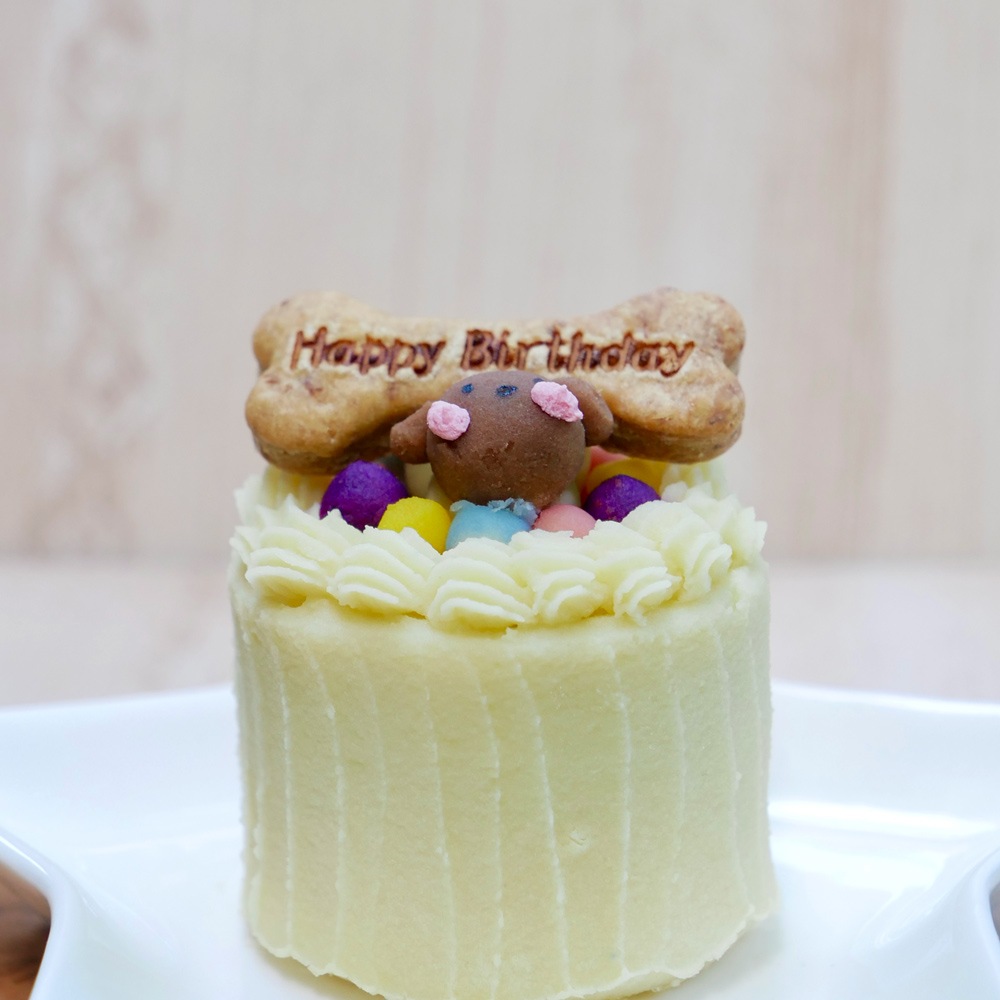 犬 猫 ケーキ 低脂質 豆乳 無添加 「 お肉たんぱくフリーケーキ 」 ドッグフード 誕生日 植物性 たんぱく 野菜 魚 いわし 乳頭 ラクトースフリー シニア お祝い 人気 かわいい おすすめ 
