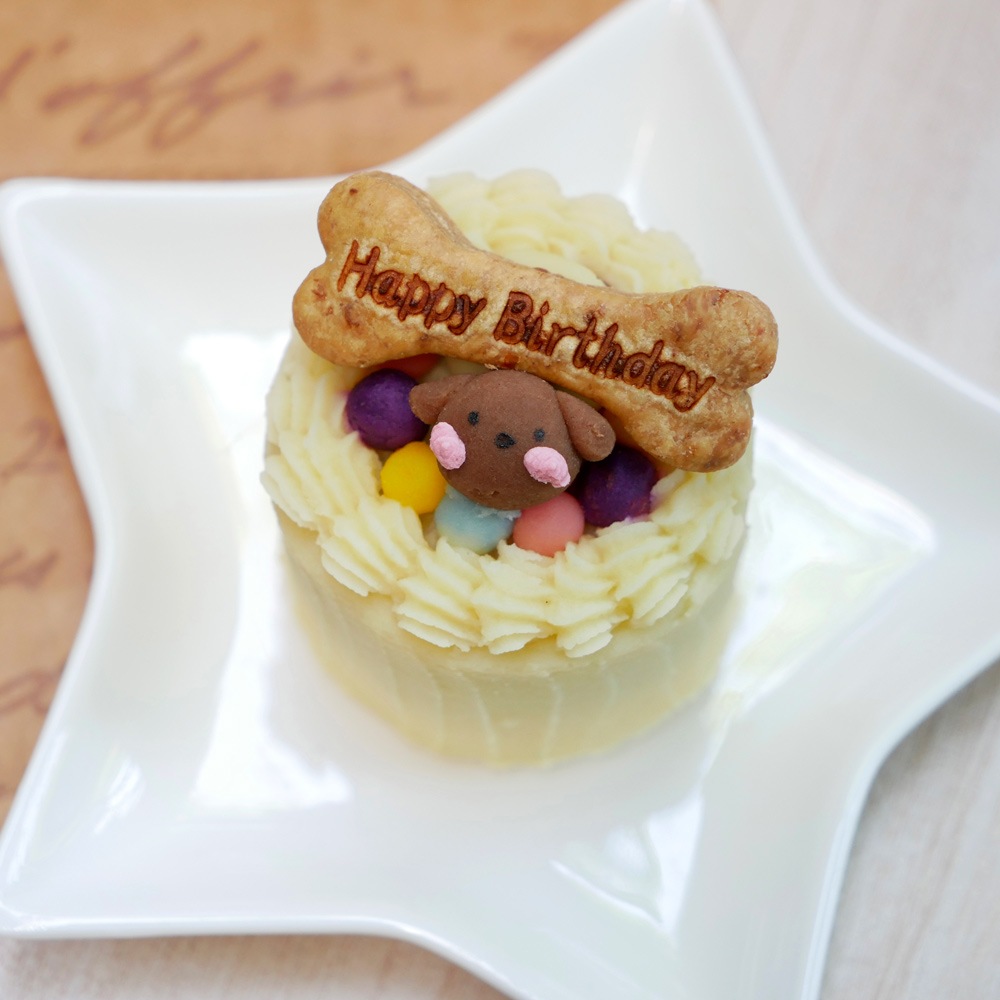 犬 猫 ケーキ 低脂質 豆乳 無添加 「 お肉たんぱくフリーケーキ 」 ドッグフード 誕生日 植物性 たんぱく 野菜 魚 いわし 乳頭 ラクトースフリー シニア お祝い 人気 かわいい おすすめ 