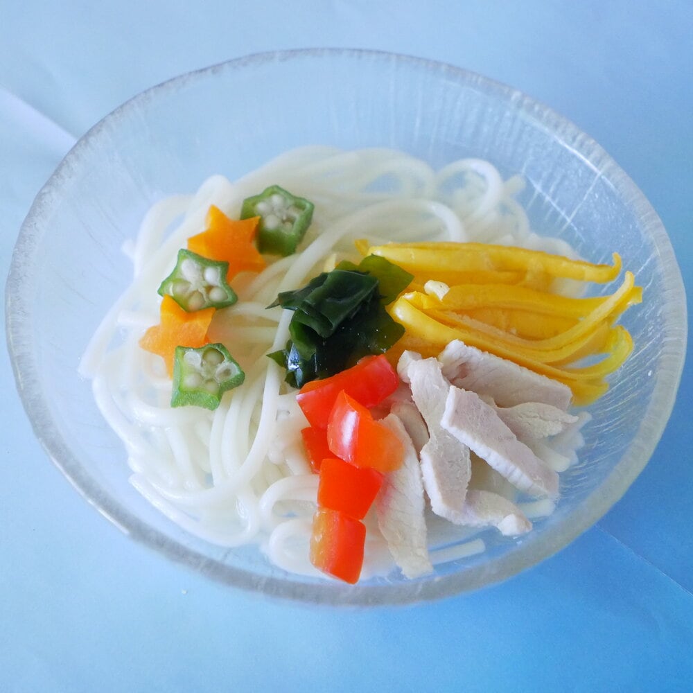 無塩うどん 無添加 「 冷やし中華 」塩不使用の麺に鹿肉の出し汁をベースに鶏むね肉、鶏卵が入ってワンちゃんネコちゃん大喜び♪　お野菜も人参、パプリカ、オクラ、わかめ等、夏場の栄養補給を考えたごはんです♪