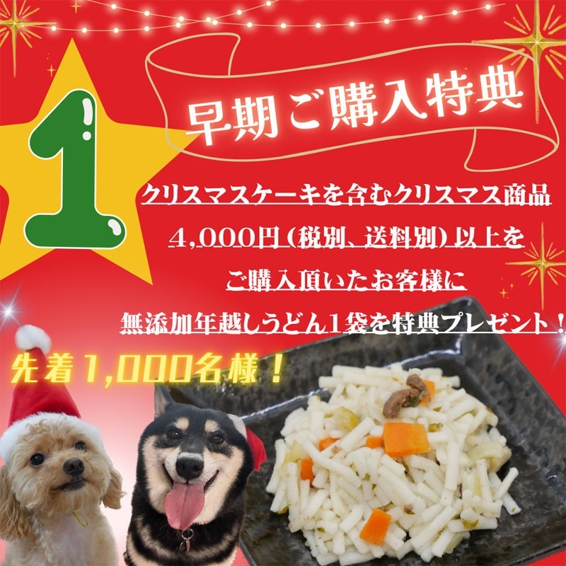 【犬用ケーキ ハッピー初日の出 「 富士山 いちご ショートケーキ 】 無添加・国産素材使用｜愛犬と一緒に迎える2026年のお正月限定ケーキ｜雪化粧の富士山をデコレーションした縁起の良いショートケーキ｜苺・乳糖フリー・グルテンフリー｜安心安全な犬用お祝いケーキ｜はなとしっぽオリジナル