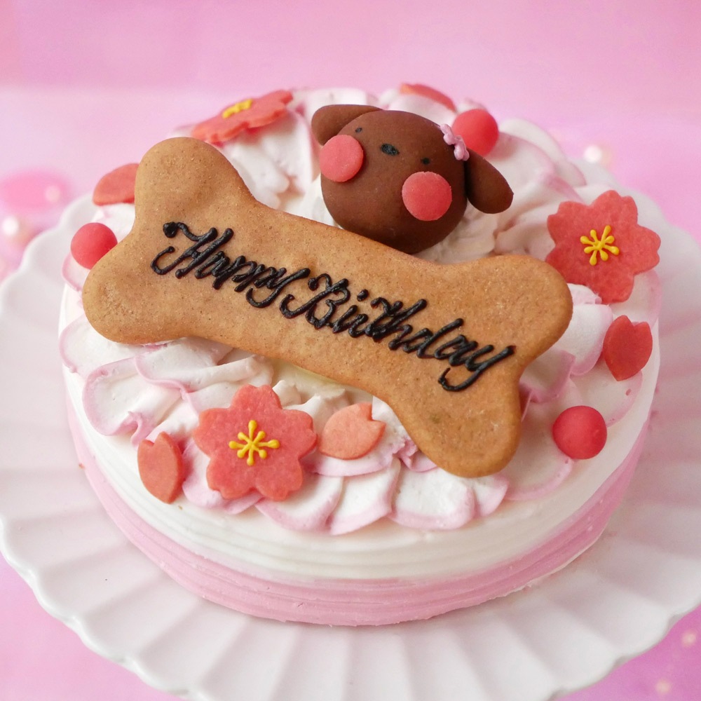 【春限定♪】 「お花見 桜のショートケーキ レギュラーサイズ」 無添加 ラクトースフリー