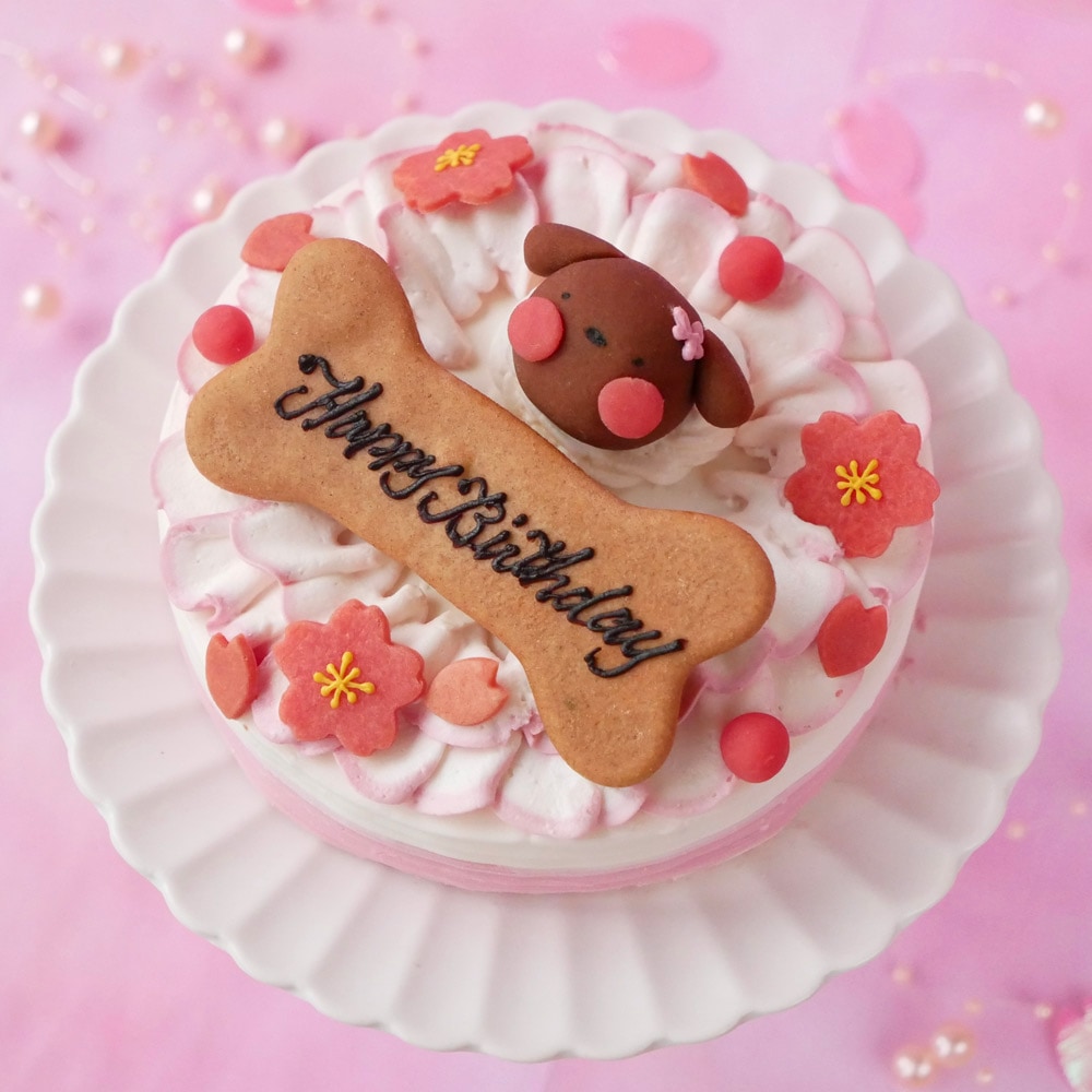 【春限定♪】 「お花見 桜のショートケーキ レギュラーサイズ」 無添加 ラクトースフリー