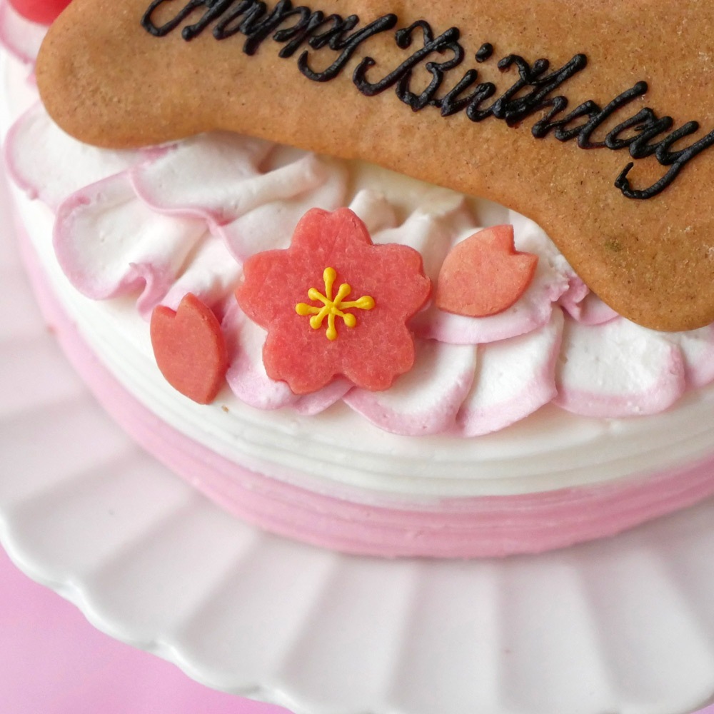 【春限定♪】 「お花見 桜のショートケーキ レギュラーサイズ」 無添加 ラクトースフリー
