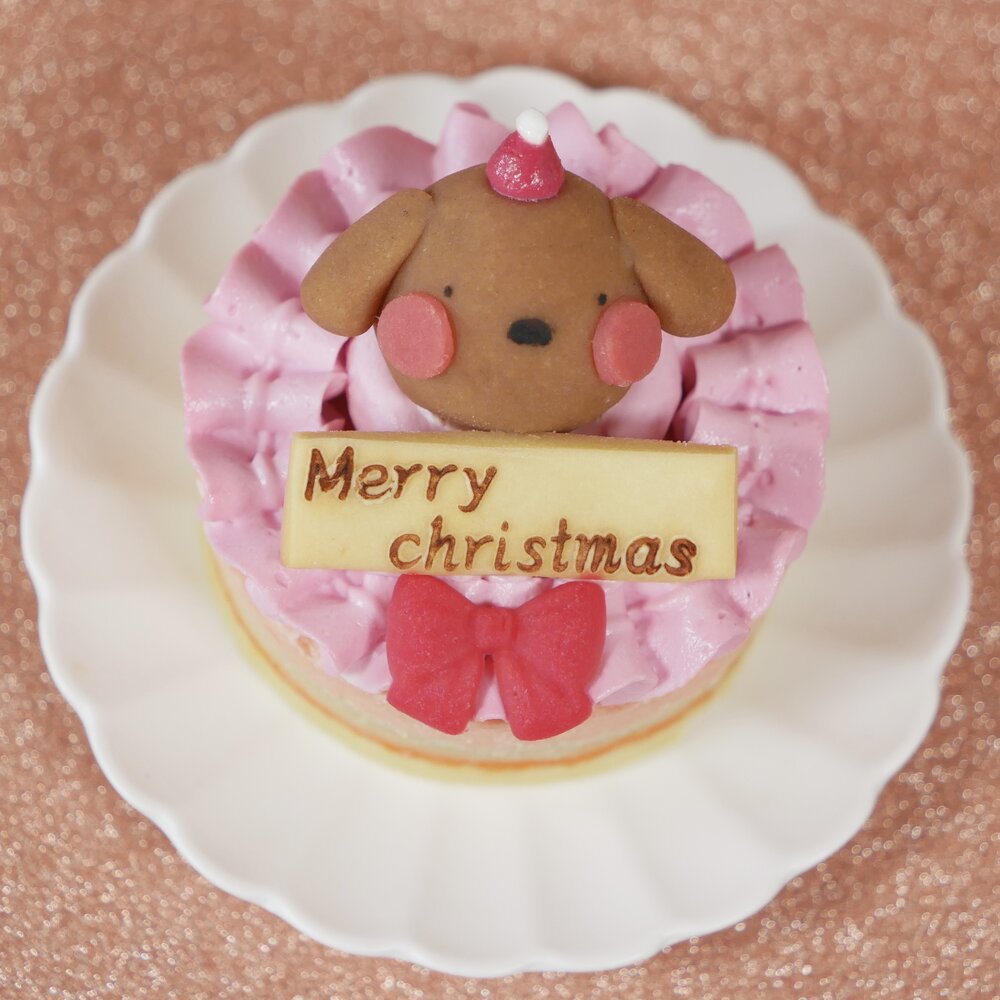 【犬猫用 お魚のクリスマスケーキ プチ 】乳糖フリー・グルテンフリー・無添加｜鮭を使った犬猫兼用ヘルシーケーキ｜国産素材で安心安全｜ニュージーランド産サーモン×乳糖フリーヨーグルトで仕上げた華やかクリスマス限定ケーキ｜小型サイズでわんちゃん・ねこちゃんにぴったり｜はなとしっぽオリジナル