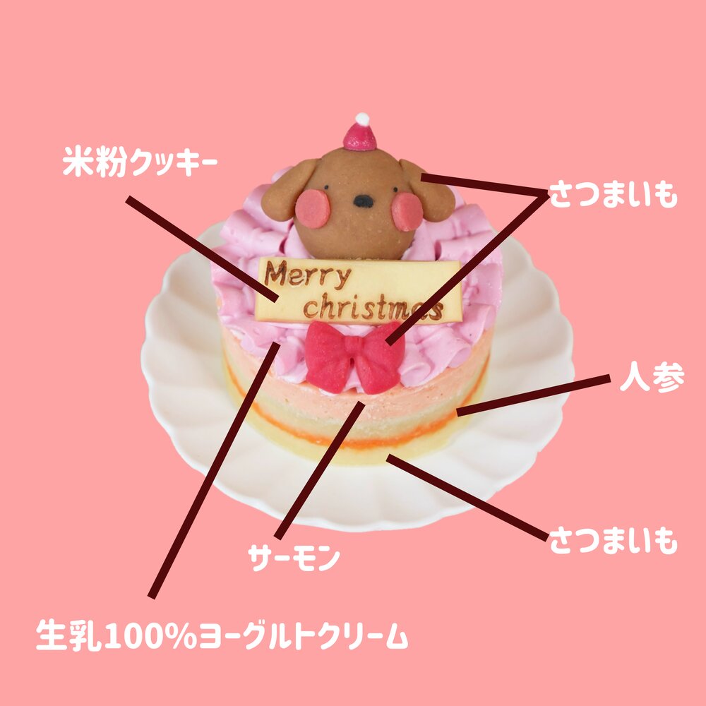 【犬猫用 お魚のクリスマスケーキ プチ 】乳糖フリー・グルテンフリー・無添加｜鮭を使った犬猫兼用ヘルシーケーキ｜国産素材で安心安全｜ニュージーランド産サーモン×乳糖フリーヨーグルトで仕上げた華やかクリスマス限定ケーキ｜小型サイズでわんちゃん・ねこちゃんにぴったり｜はなとしっぽオリジナル