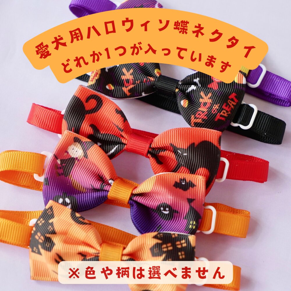 パンプキンドッグ　ハッピーハロウィン♪　グルテンフリー