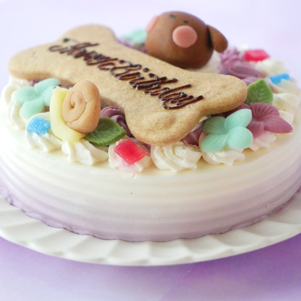 犬用ケーキ 猫 ケーキ 無添加 「 紫陽花苺ショートケーキ （ レギュラーサイズ ） 」 乳製品の心配の要らない 乳糖フリー 安心安全　（asr04）