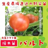 �ڤƤ��ޤ��ġ� ��̥ȥޥ� �ѥ�� �Ǻ������� 9cm�ݥå� ����� ���� �� ���� �ڿ͵���