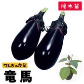 �ڤƤ��ޤ��ġ�  �ʥ��� ε�� �Ǻ��Ǻ������� 9cm�ݥå� ����� ���� �� ���� �ڿ͵���