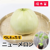 ڤƤޤġ ޥ復 ˥塼 Ǻ 9cmݥå     ڿ͵