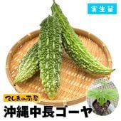 �ڤƤ��ޤ��ġ� ������ ������Ĺ������ ������ 9cm�ݥå� ����� ���� �� ���� �ڿ͵���