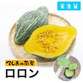 ڤƤޤġ ܥ   9cmݥå ڿ͵