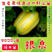 ڤƤޤġ ޥ復  Ǻ 9cmݥå ڿ͵